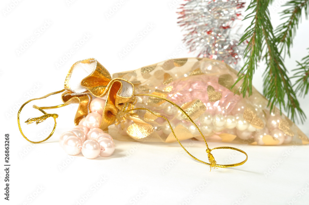 Fototapeta premium Christmas Present