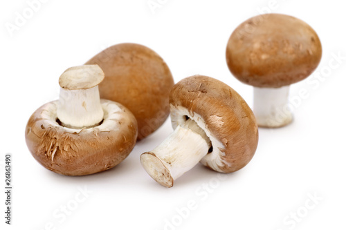 Four brown mushrooms