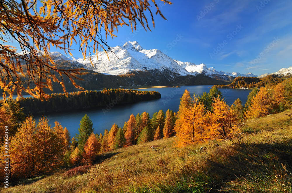 Fototapeta premium Silsersee im Engadin an einem schönen Herbsttag