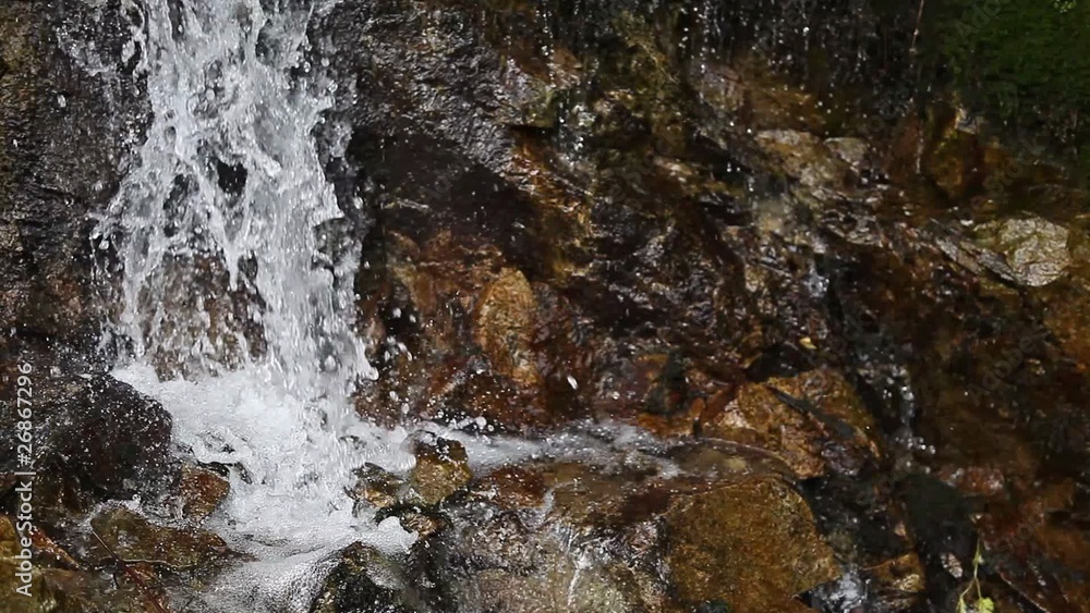 Small forest cascade Small forest cascade