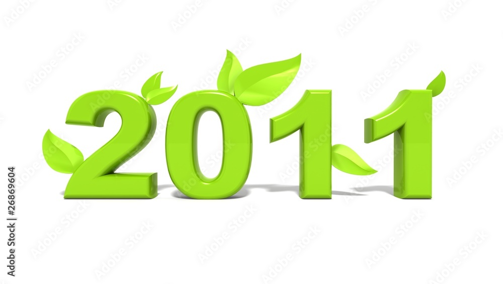 2011 2011