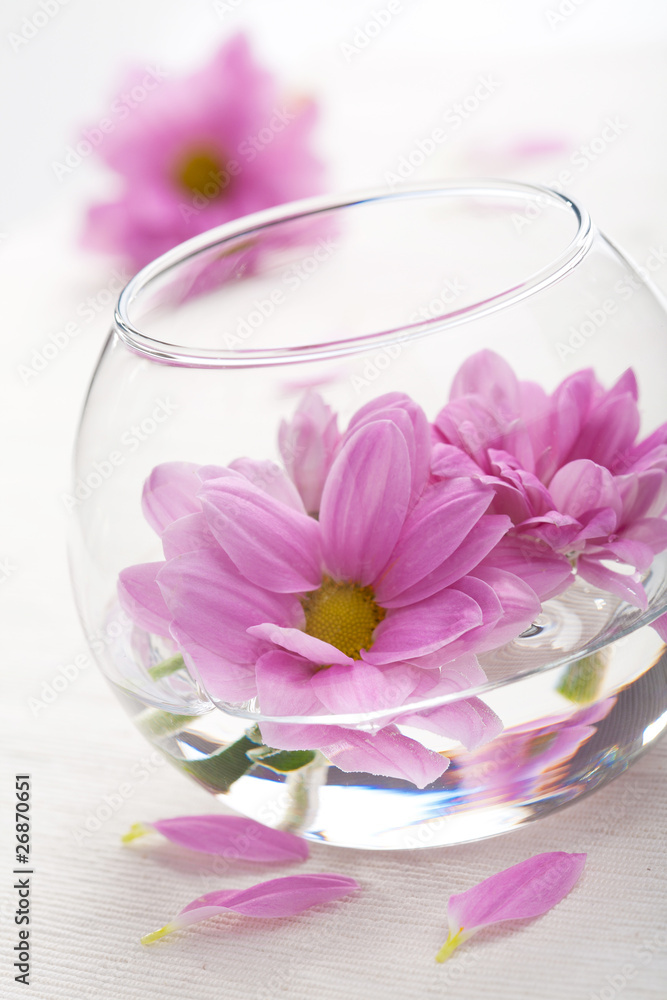 pink flowers in vase pink flowers in vase