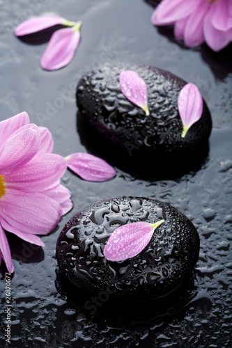 Photography spa stones and flowers