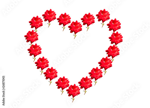 Red Roses frame in the shape of heart isolated over white