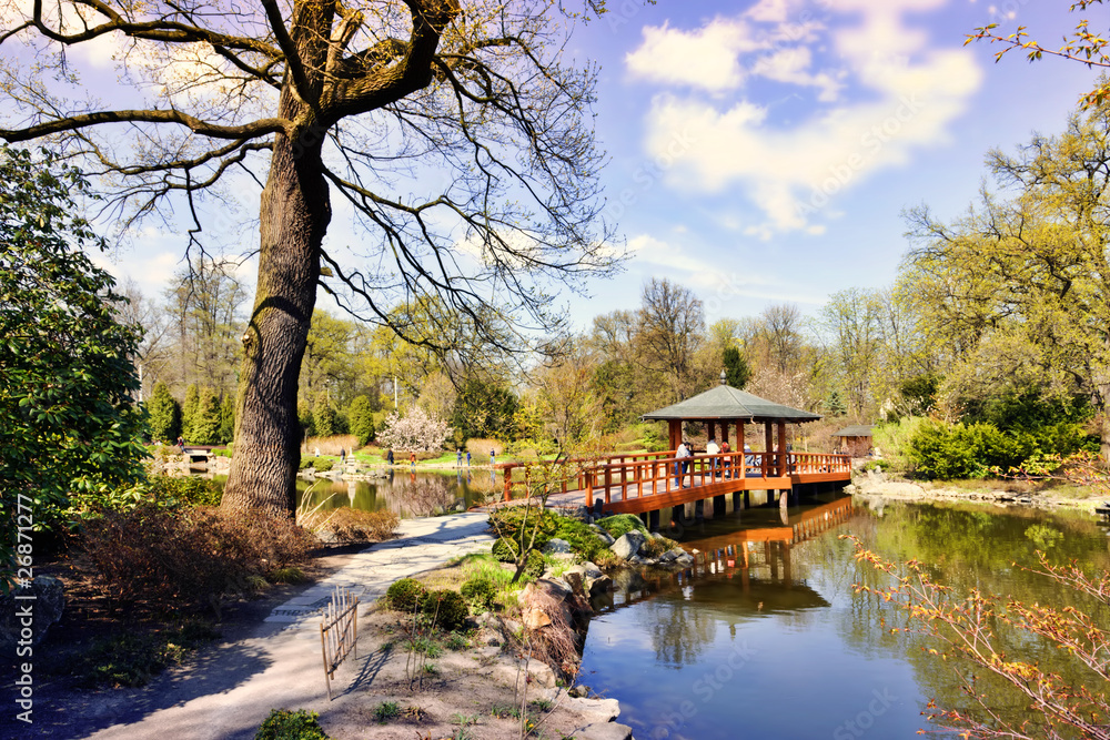 Fototapeta premium Japanese garden