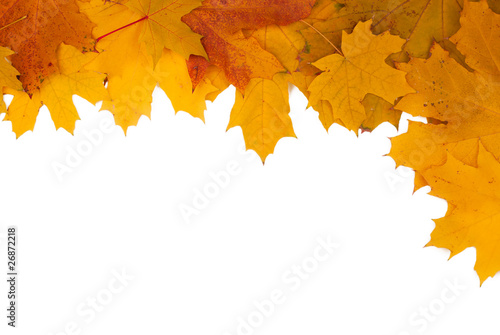 Frame of autumn leaves on a white background