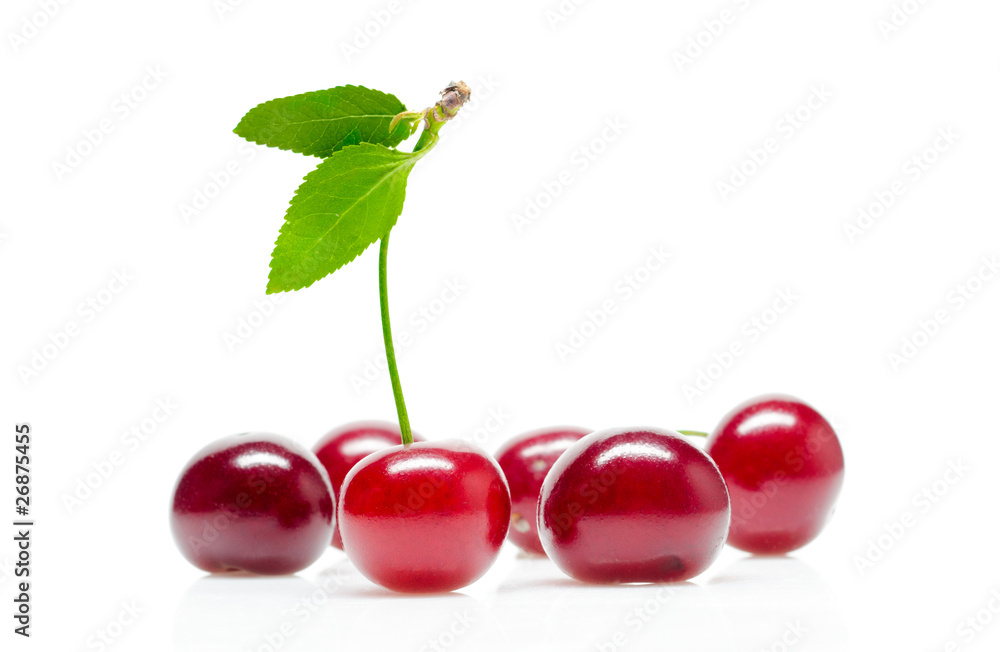 Obraz premium Cherry