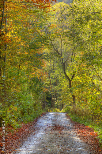 Autumn path © Provisualstock.com