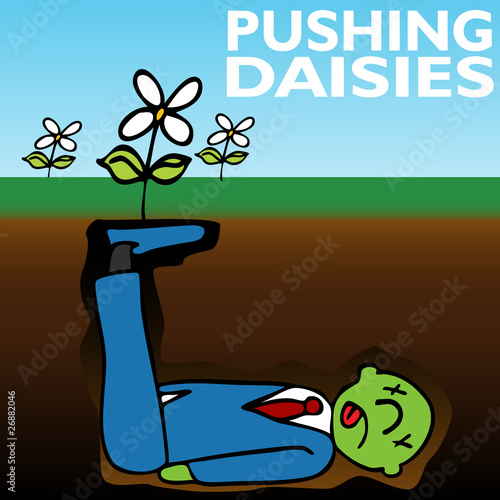 Pushing Daisies