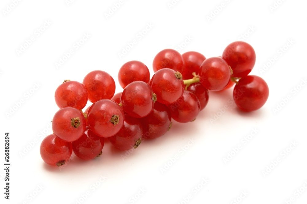 Red currant on a white background