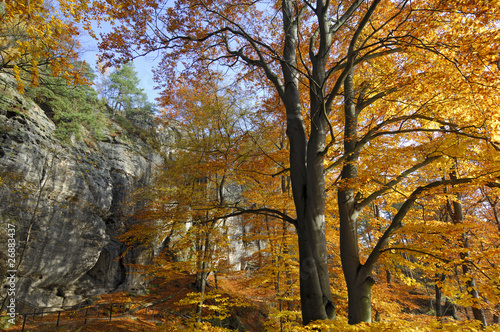 Elbsandsteingebirge