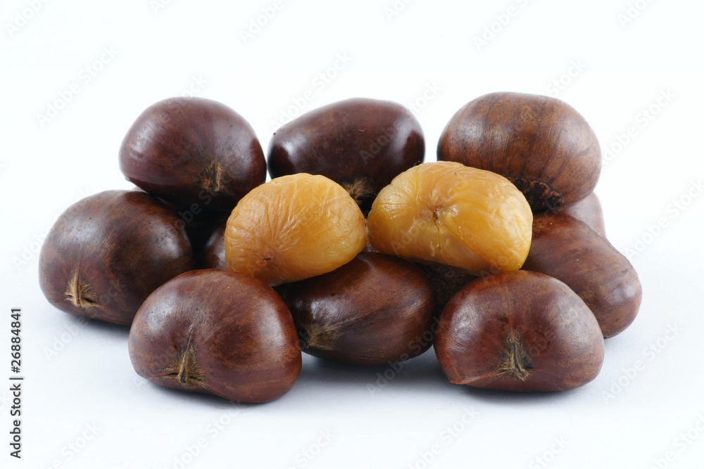 Japanese Chestnut