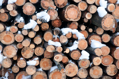Stack of logs in winter