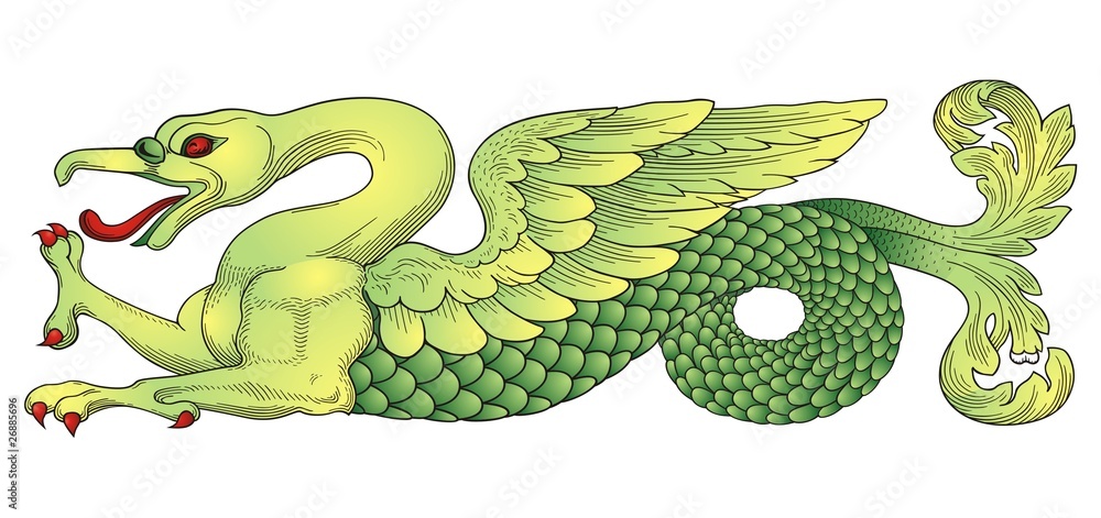 Obraz premium Chinese Dragon vector