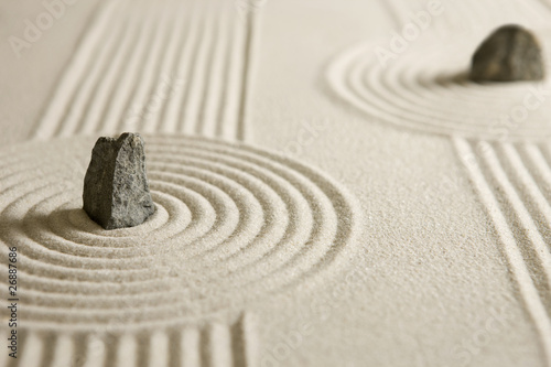 Canvas Print Rock garden