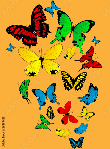 Color butterflies