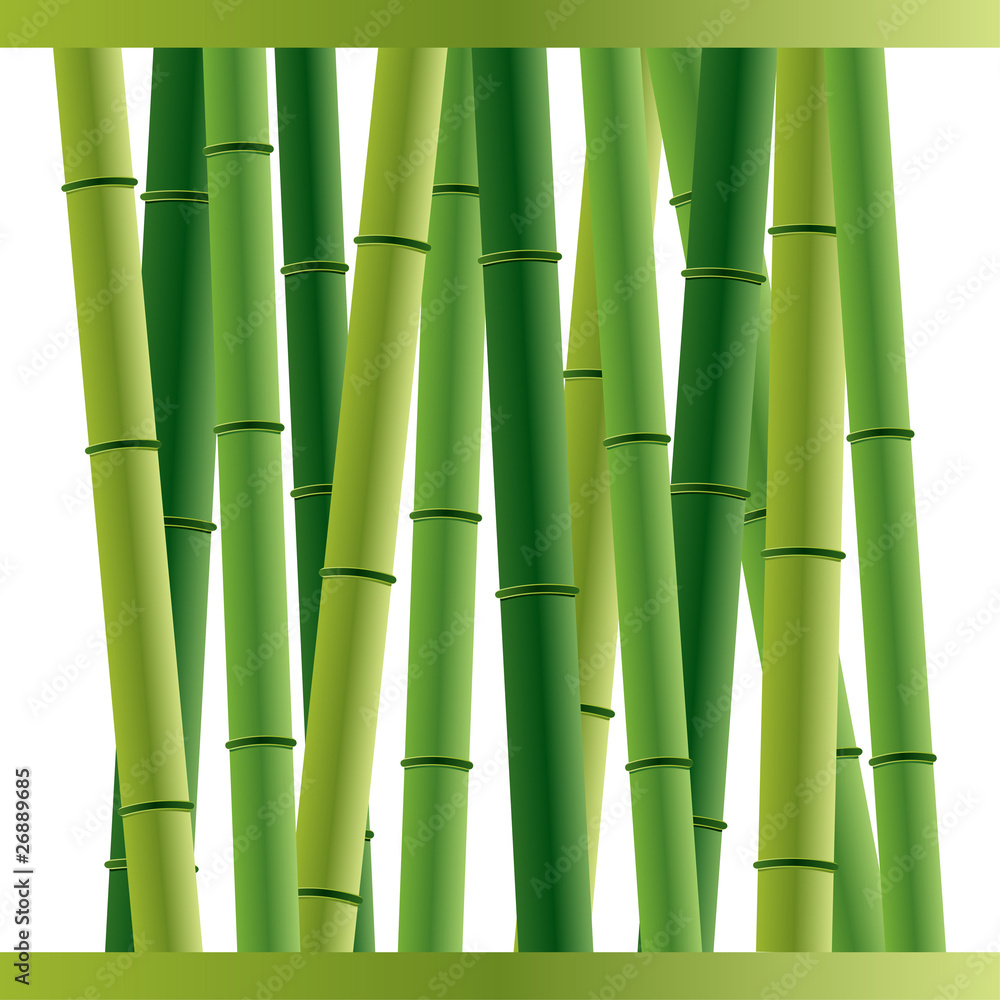 Obraz premium Bamboo sticks background over white