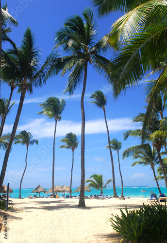 Beach scene in the Dominican Republic © David Smith