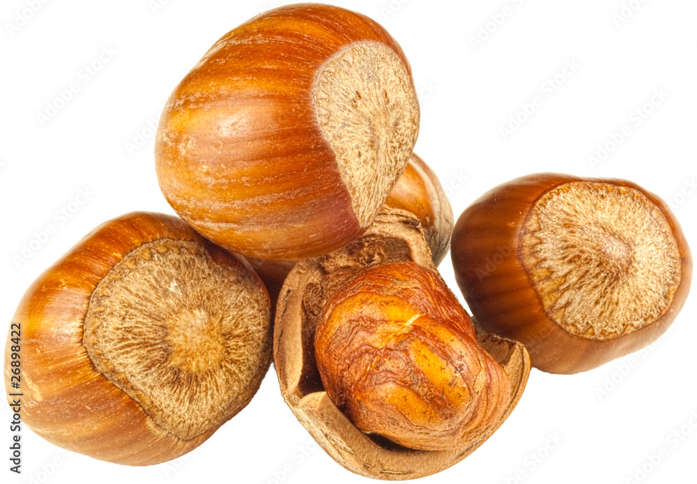 hazelnuts