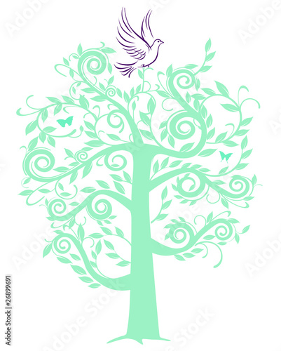 Taube auf Baum