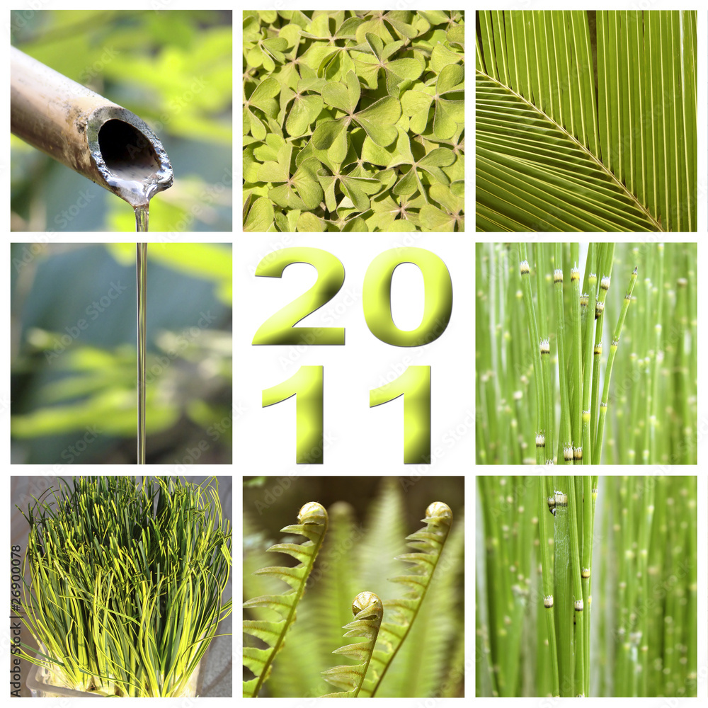 Fotografie 2011, montage nature verte