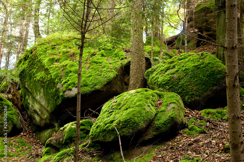 Beskid niski Beskid niski