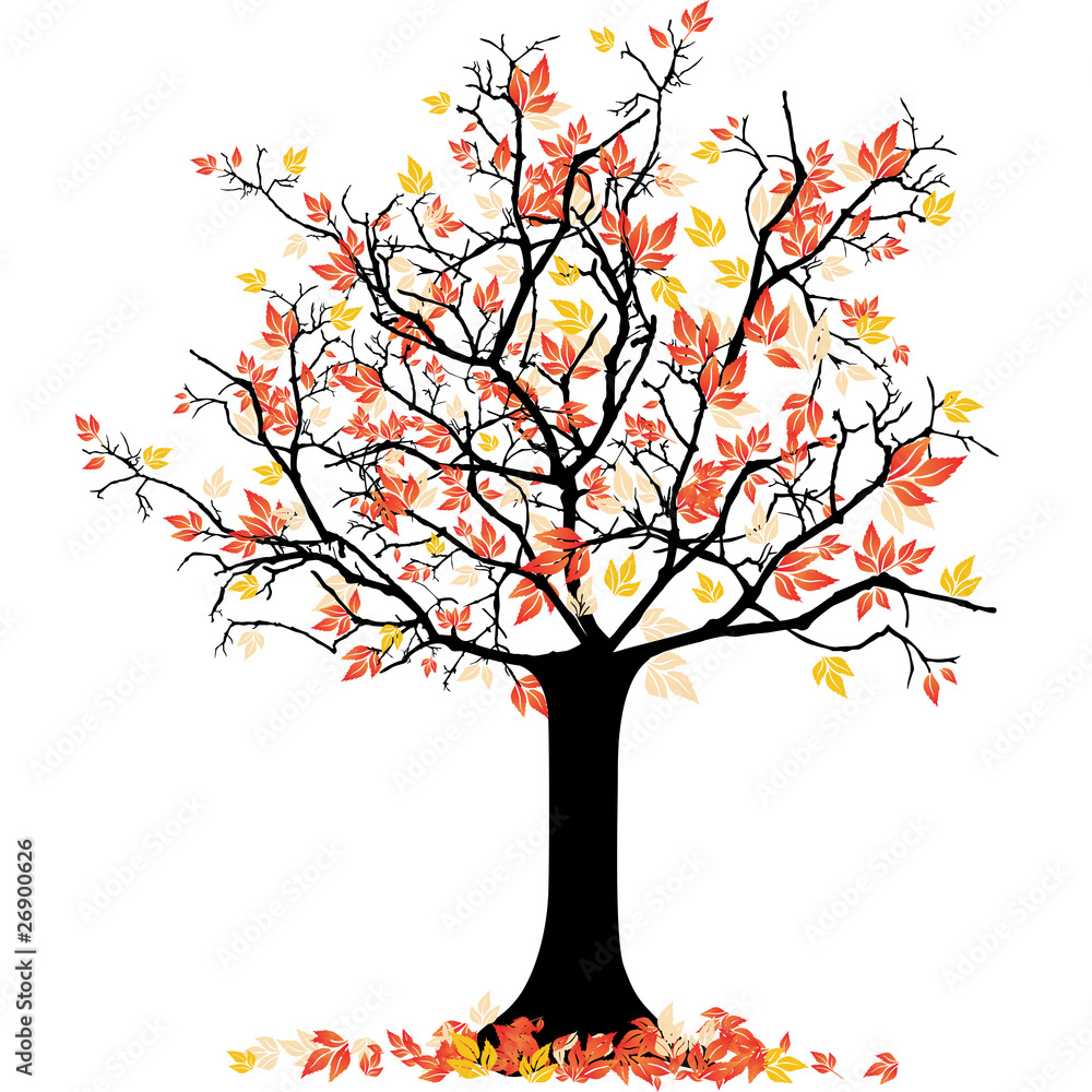 Obraz premium Herbstlicher baum