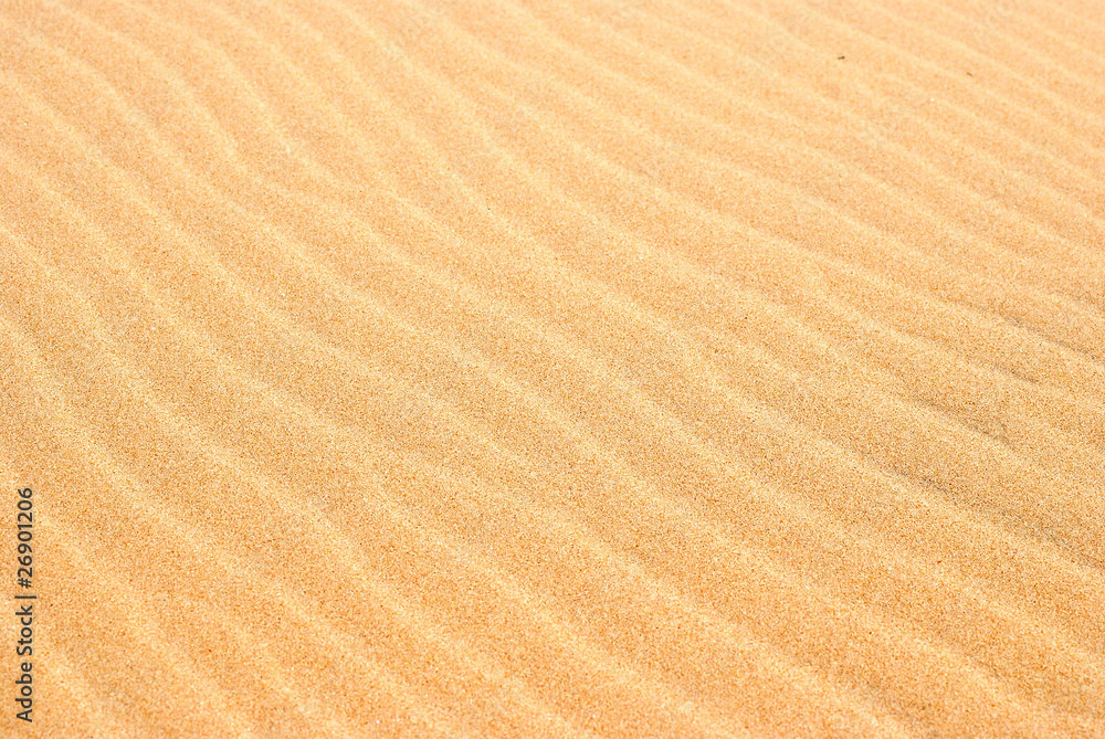 ARENA DE PLAYA, DESIERTO, DUNA ARENA DE PLAYA, DESIERTO, DUNA