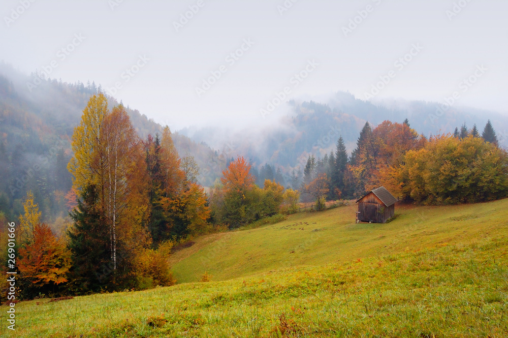 Autumn landscape Autumn landscape