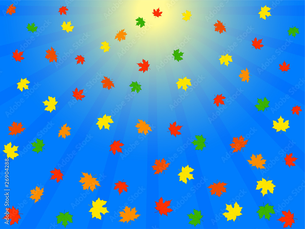 falling the autumn foliage in blue sky falling the autumn foliage in blue sky