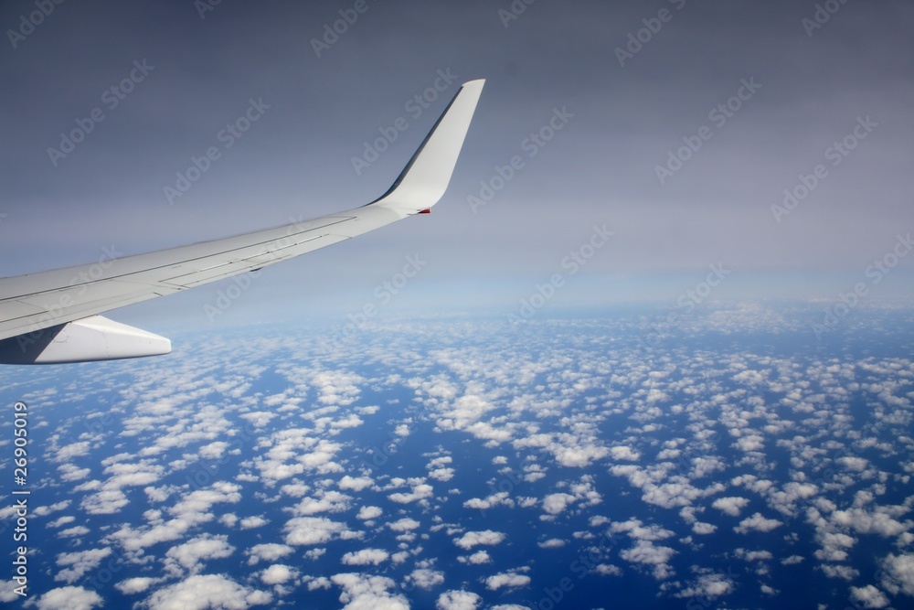 Flying high Flying high