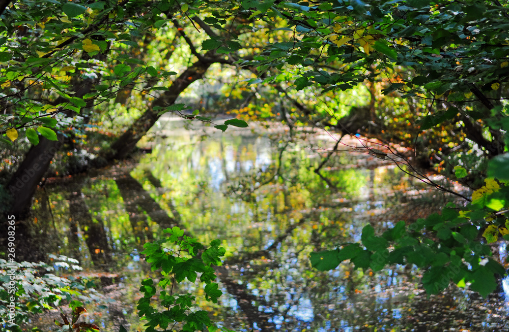 Fototapeta premium Herbst