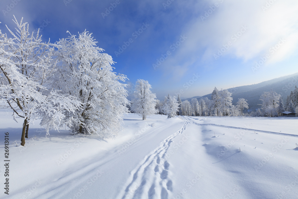 Obraz premium Winter landscapes in the Bavarian forest