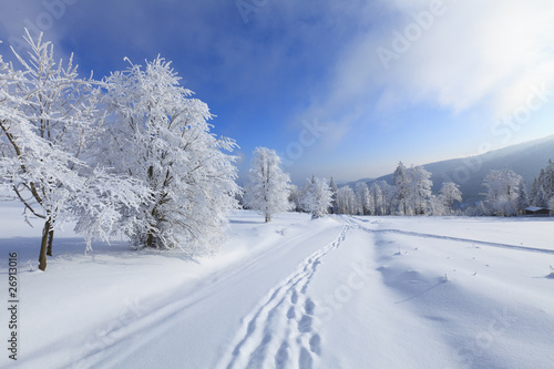 Winter landscapes in the Bavarian forest