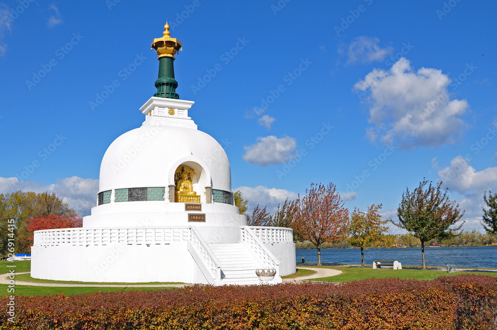 Fototapeta premium pagoda