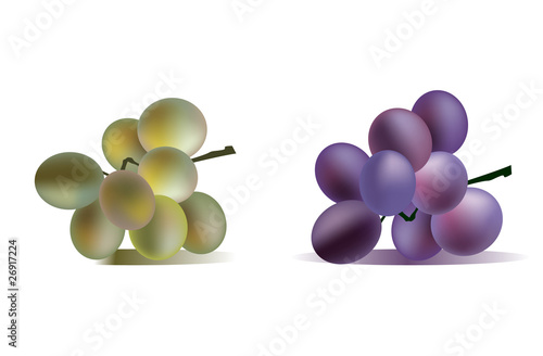 Two grape bunches isolated