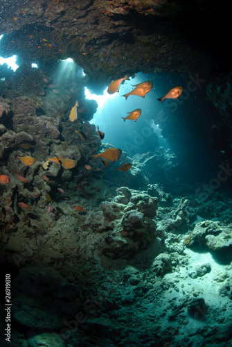 Fototapeta Naklejka Na Ścianę i Meble -  Underwater cave and sunlight