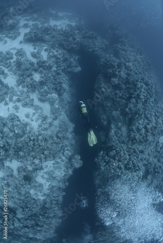 Scuba diver over underwater canyon