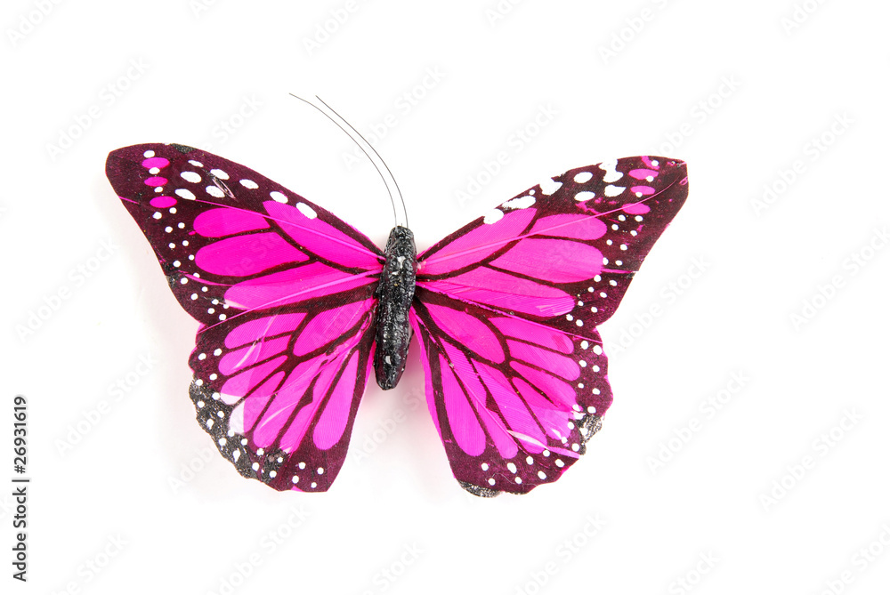 Fototapeta premium Purple butterfly