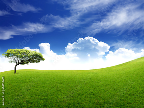Meadow with green grass and blue sky with clouds and tree .