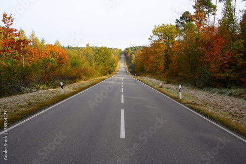 Straße durch den Wald im Herbst