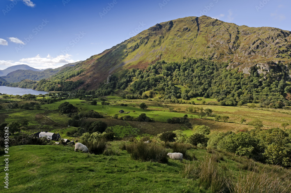 Llyn Gwynant