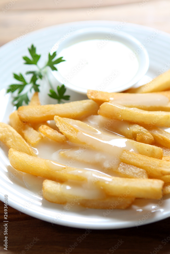 French Fries and Gravy French Fries and Gravy
