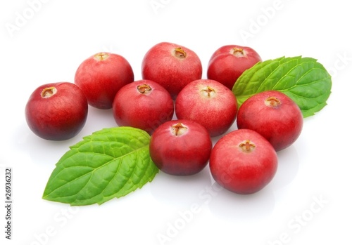 Cranberry with leaves of peppermint