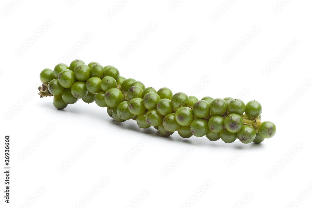 String of fresh green pepper String of fresh green pepper
