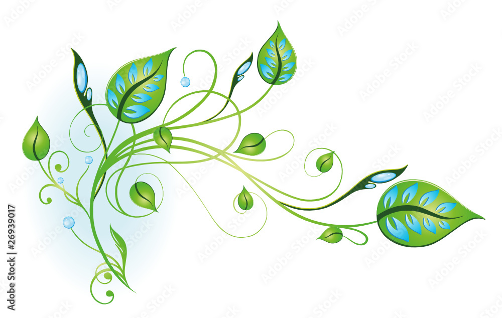 Ranke, flora, filigran, Blätter, Eco, Öko, Bio Ranke, flora, filigran, Blätter, Eco, Öko, Bio