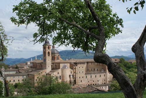 URBINO