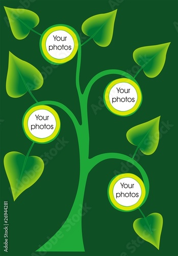 tree border photo