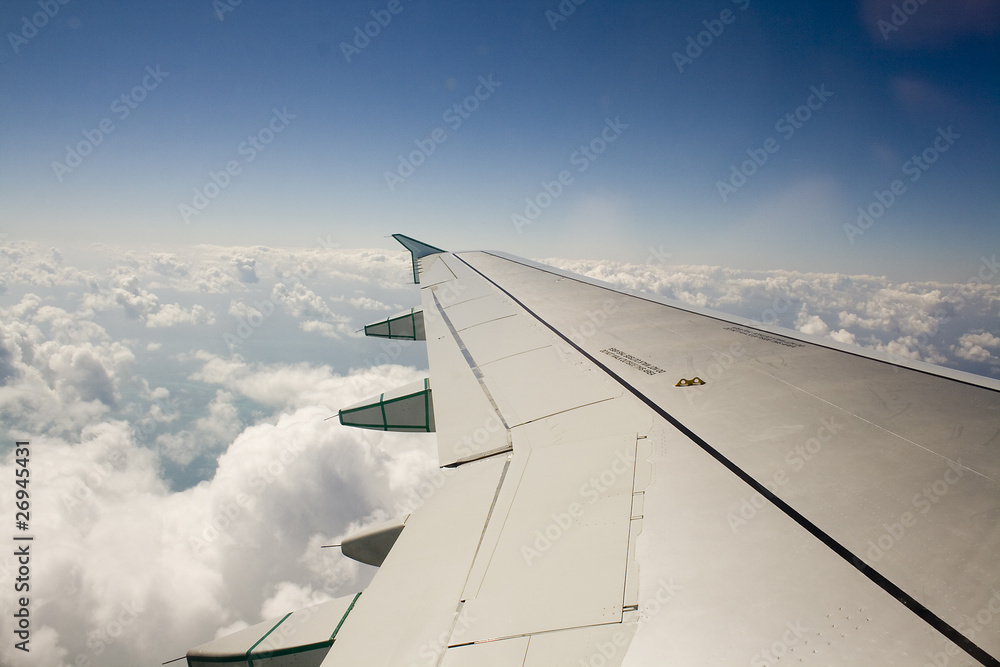 Wing of a plane