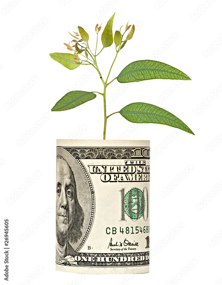 Tree shoot growing from dollar bill Tree shoot growing from dollar bill